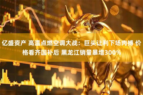 亿盛资产 高温点燃空调大战：巨头让利下场肉搏 价格看齐国补后 黑龙江销量暴增300%