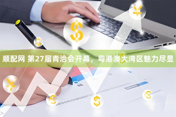 顺配网 第27届青洽会开幕，粤港澳大湾区魅力尽显