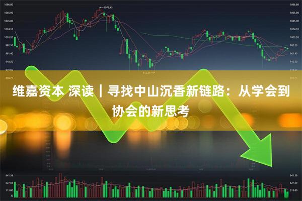 维嘉资本 深读｜寻找中山沉香新链路：从学会到协会的新思考